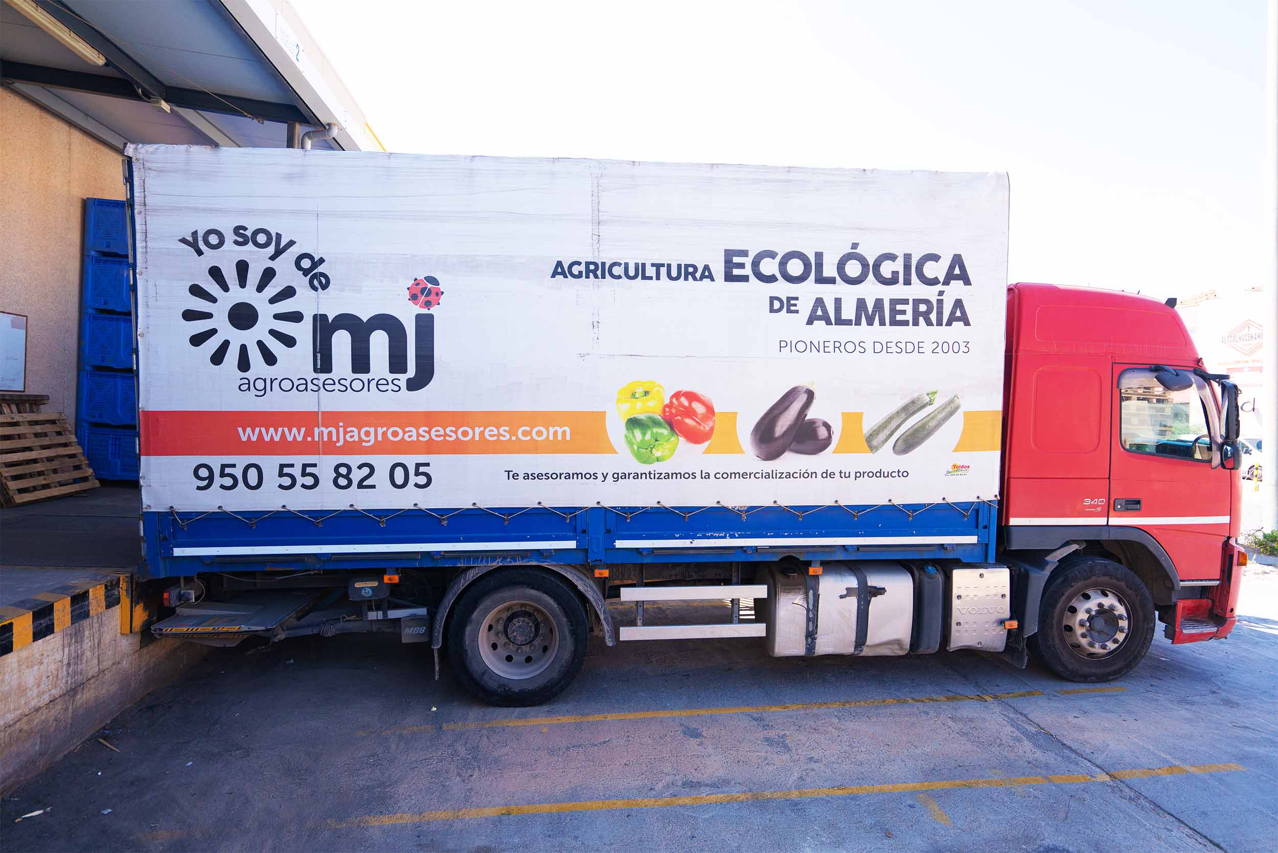 Logistica-produccion-de-hortalizas-y-frutas-bio.-Cultivo-ecologico-en-Almeria.jpg
