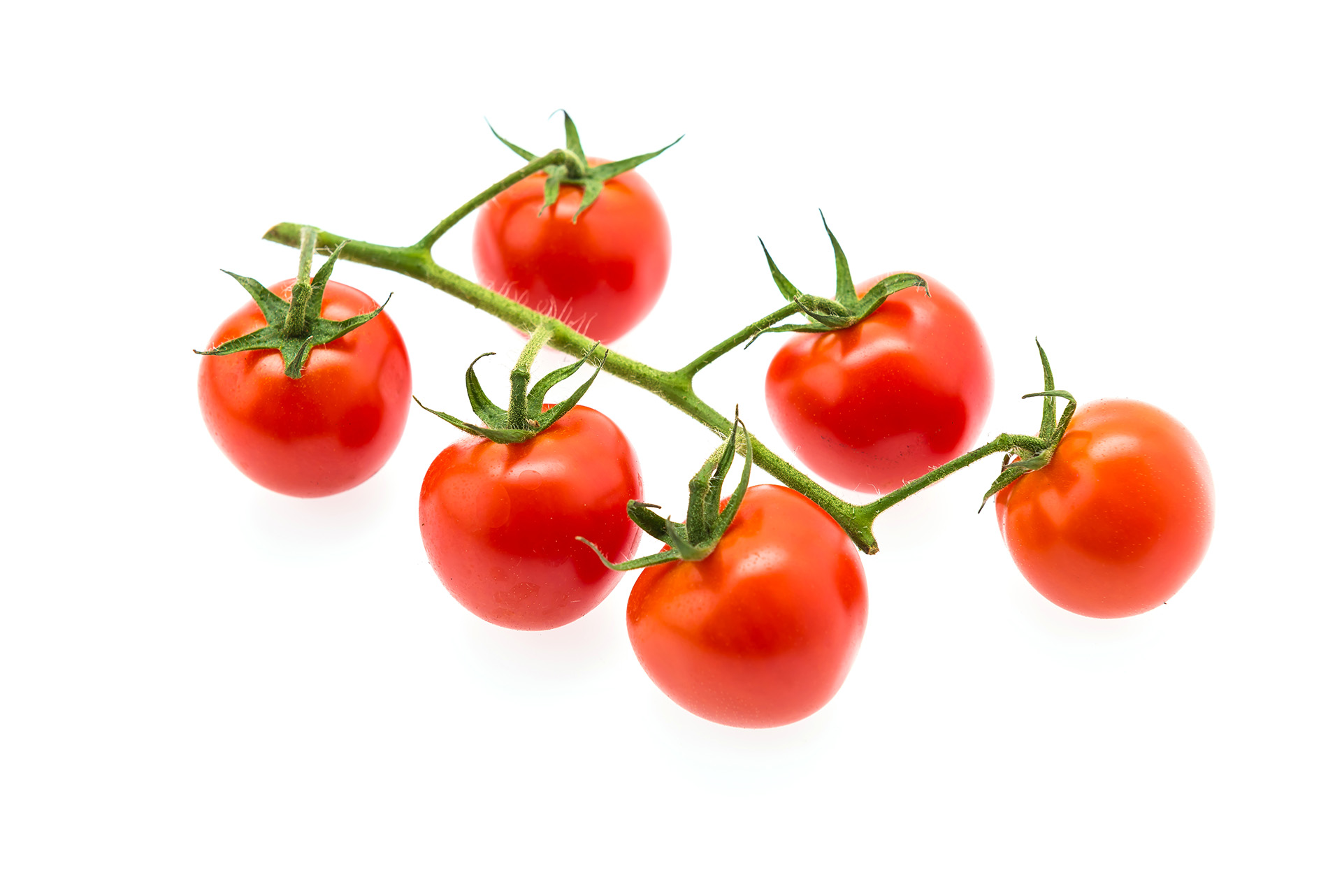 Tomate-cherry-rama-bio.-Cultivo-ecologico-en-Almeria.jpg