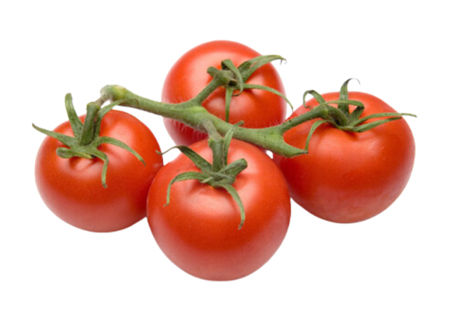 Tomate-rama-bio.jpg