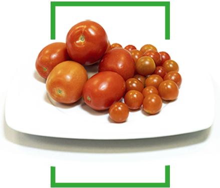 Variedad-de-tomates-bio-Almeria-2.png